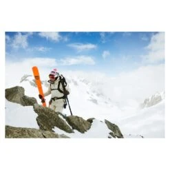 Ski Black Crows Vastus Freebird 2021 -Faction Shop Soldes ski black crows vastus freebird 2021 6