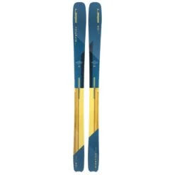 Ski Elan Ripstick 106 2022